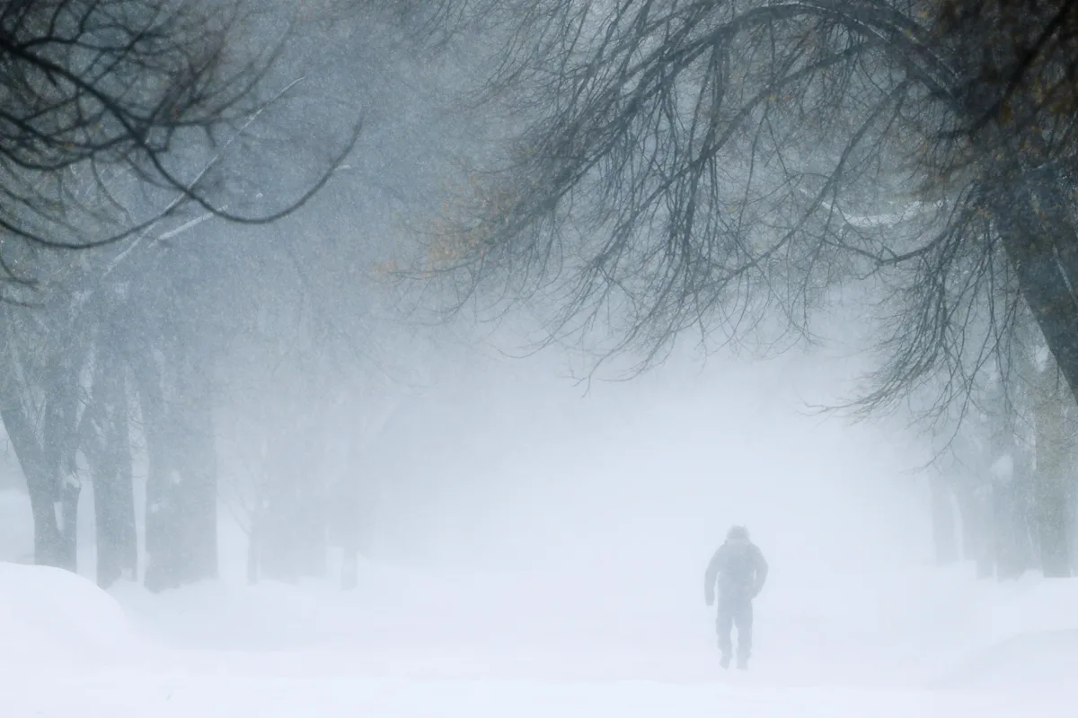 These Marshfield businesses & churches closed March 15-16 due to snow