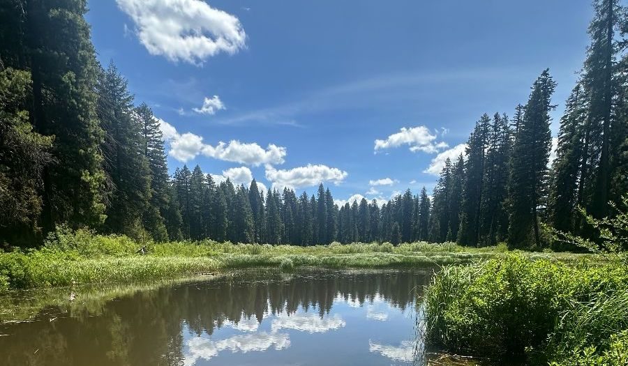 Viewpoint: Should Oregon Adopt an Environmental Rights Amendment? - Ashland News - Community-Supported, NonProfit News