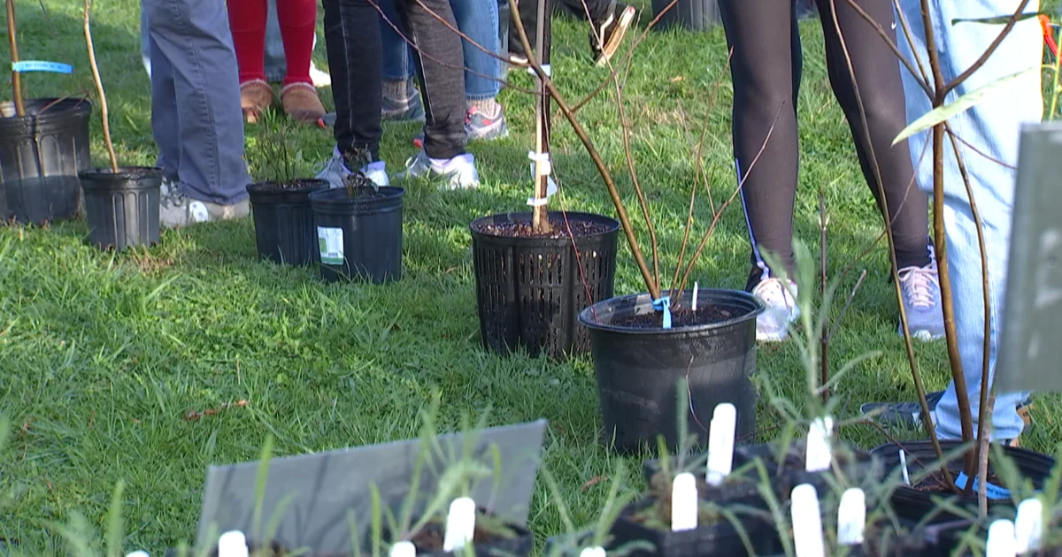 UPDATE: Locals Receive Over 1,000 Free Trees and Bushes Through Environmental Program