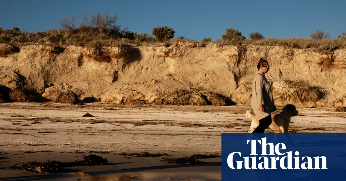 Stripped of Life: South Australia's Deadly Algal Bloom Continues to Spread One Year On