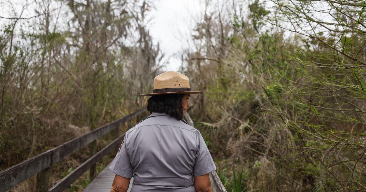 Louisiana's Barataria Preserve Undergoes Major Renovation to Protect Trails from Rising Seas