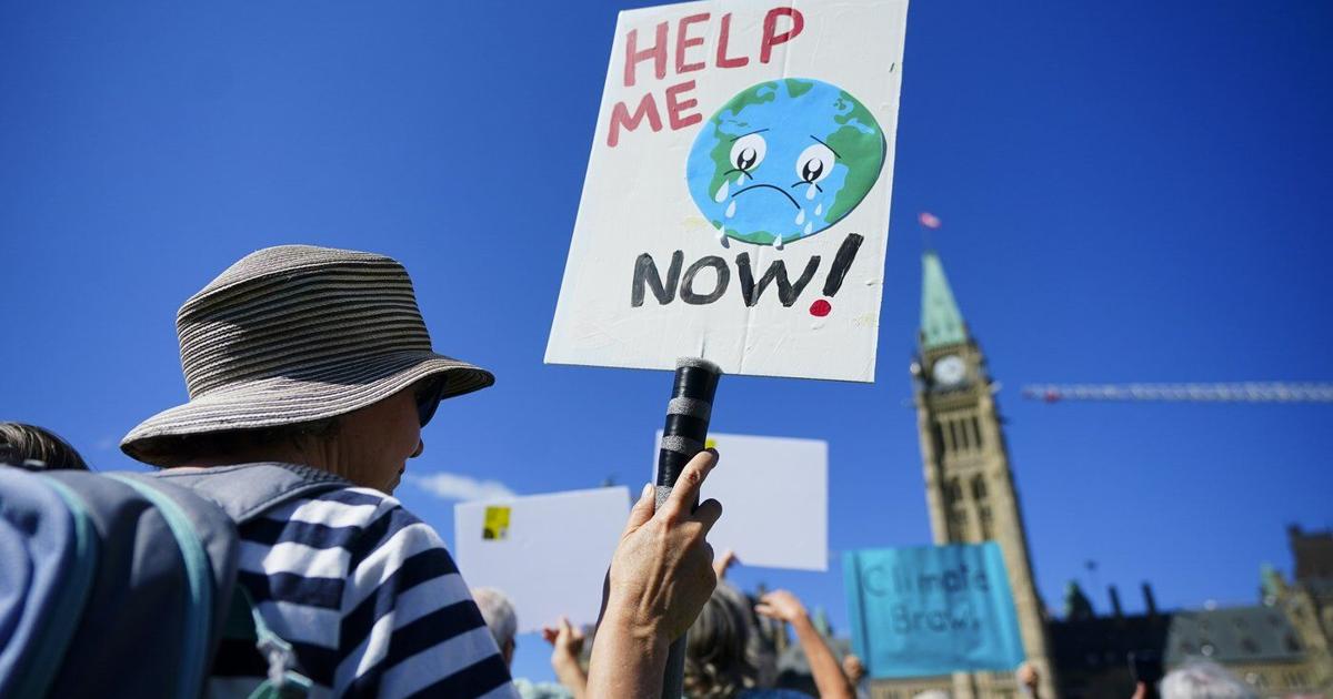 Former Climate Advisers Criticize Environment Committee for 'Junior High Behaviour'