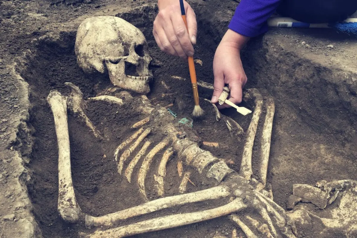 Centuries-old skeletons reveal a hidden effect of tobacco no one had identified before - Futura-Sciences