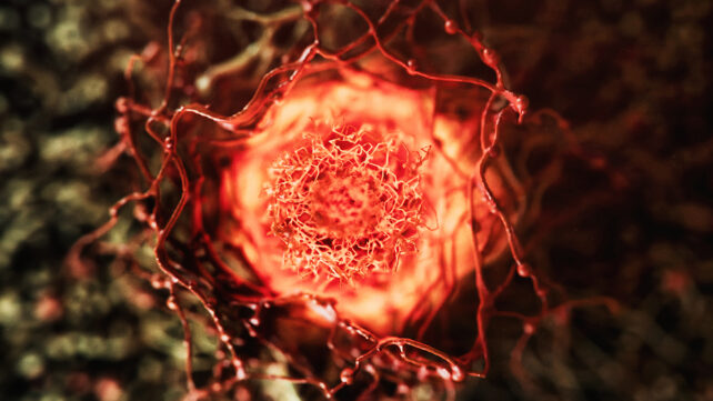 This Week in Science: Cosmic Fireball, Glowing Forests, and More!